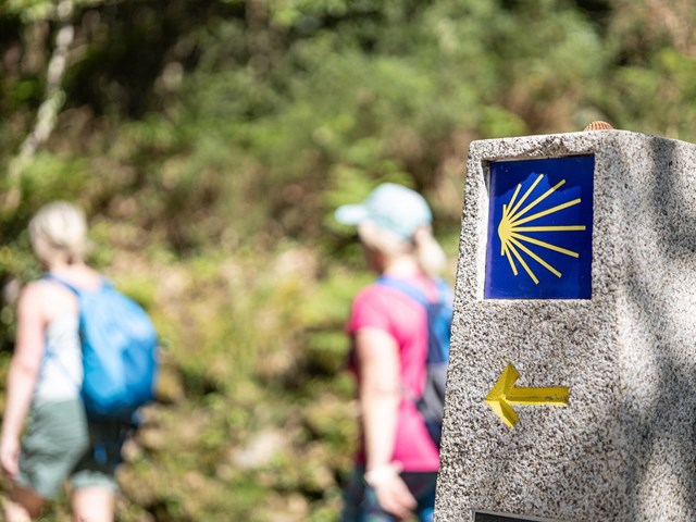 Disponemos de servicio de taxi para peregrinos