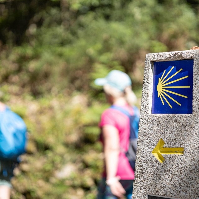 Disponemos de servicio de taxi para peregrinos